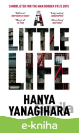 A Little Life