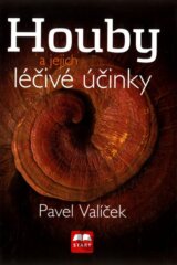 Houby a jejich léčivé účinky