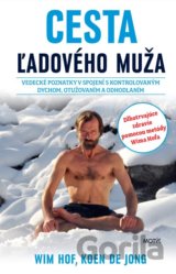 Cesta ľadového muža
