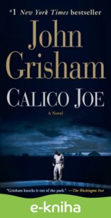 Calico Joe