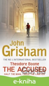 Theodore Boone: The Accused