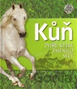 Kůň