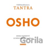 Vidžňánabhairava Tantra