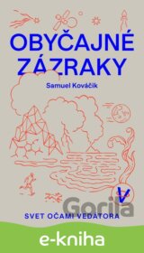 Obyčajné zázraky
