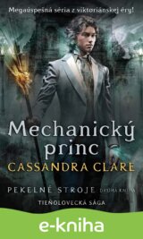 Mechanický princ