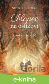 Chlapec na oslíkovi