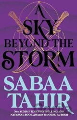 A Sky Beyond the Storm