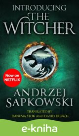 Introducing The Witcher