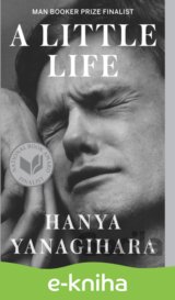A Little Life