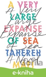 A Very Large Expanse of Sea