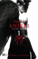 Padlí anjeli 1