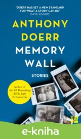 Memory Wall