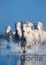 Horses