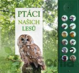 Ptáci našich lesů