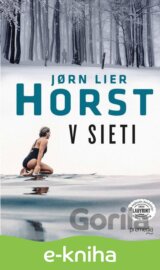 V sieti