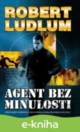Agent bez minulosti