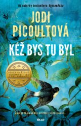 Kéž bys tu byl