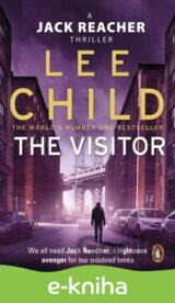 The Visitor