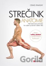 Strečink