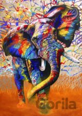 African Colours