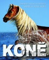 Koně