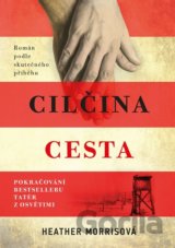 Cilčina cesta