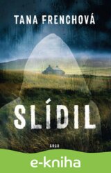 Slídil