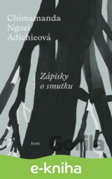 Zápisky o smutku