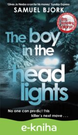 The Boy in the Headlights