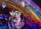 Cat and Butterflies