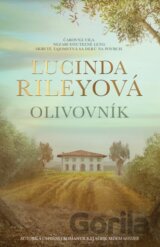 Olivovník