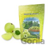Amalaki plod natural