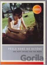 Pásla kone na betóne (1982)