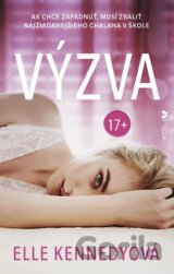 Výzva