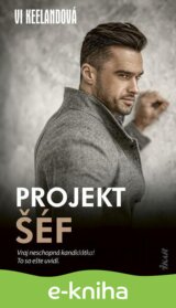 Projekt šéf