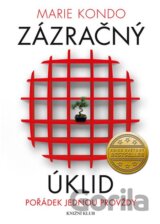 Zázračný úklid