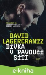 Dívka v pavoučí síti