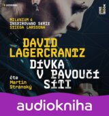 Dívka v pavoučí síti
