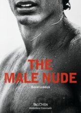The Male Nude