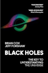Black Holes