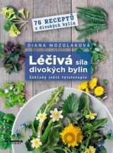 Léčivá síla divokých bylin