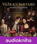 Vážka v jantaru