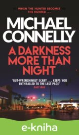 A Darkness More Than Night