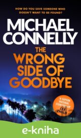 The Wrong Side of Goodbye
