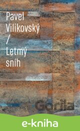 Letmý sníh