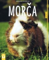 Morča