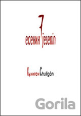 Chuligán