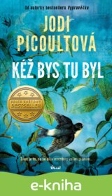 Kéž bys tu byl