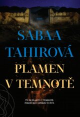 Plamen v temnotě