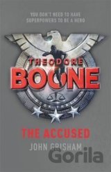 Theodore Boone: The Accused
